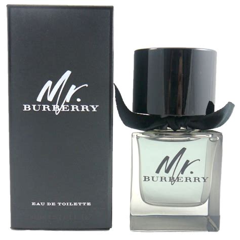 mr burberry 50 ml|Burberry her eau toilette 2022.